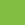 Lime-Tree Green