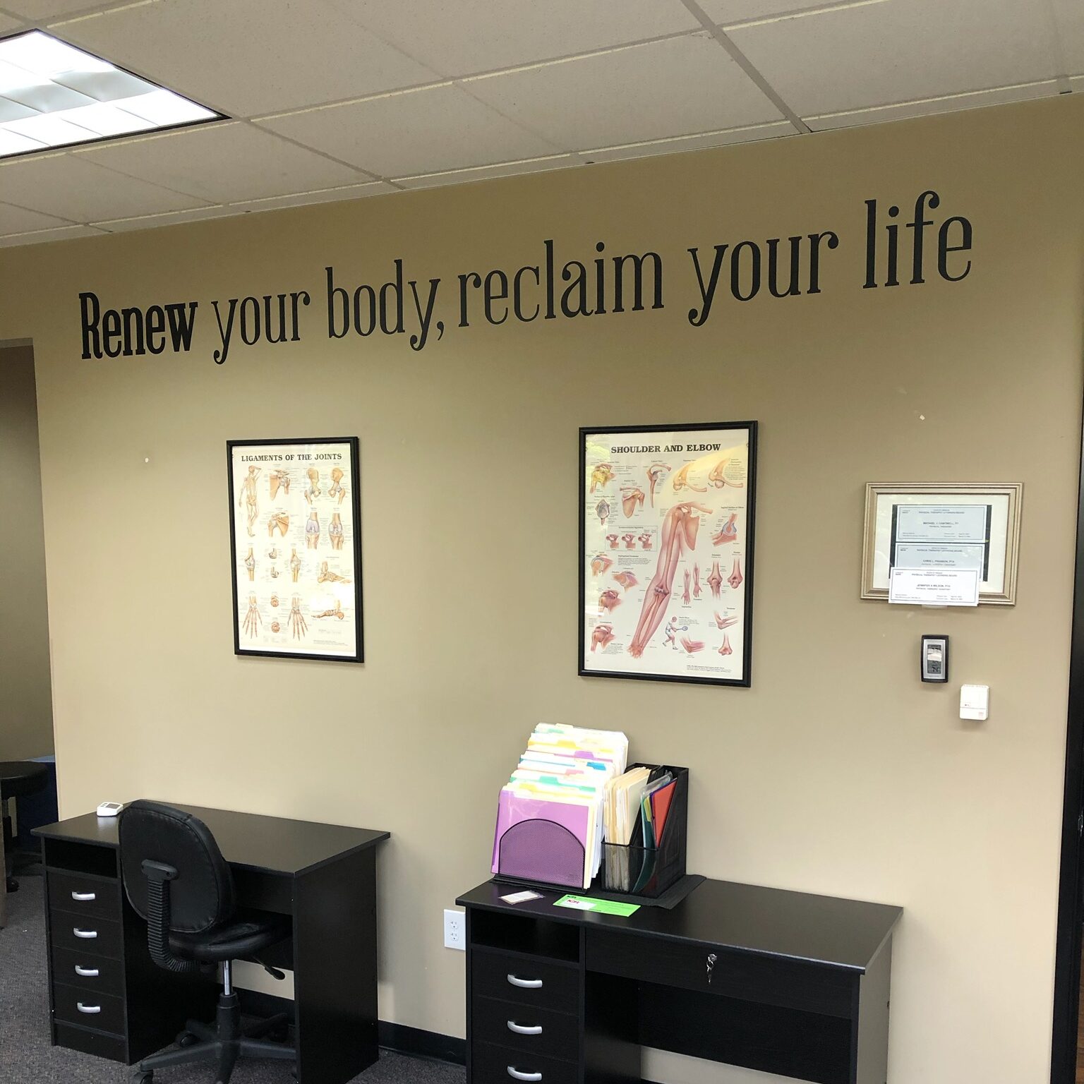 Physical Therapy Vinyl Wall Decal 