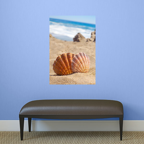Seashell Wall Decal Mural Wall Decal World